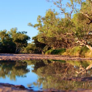 reflection, bush, australia